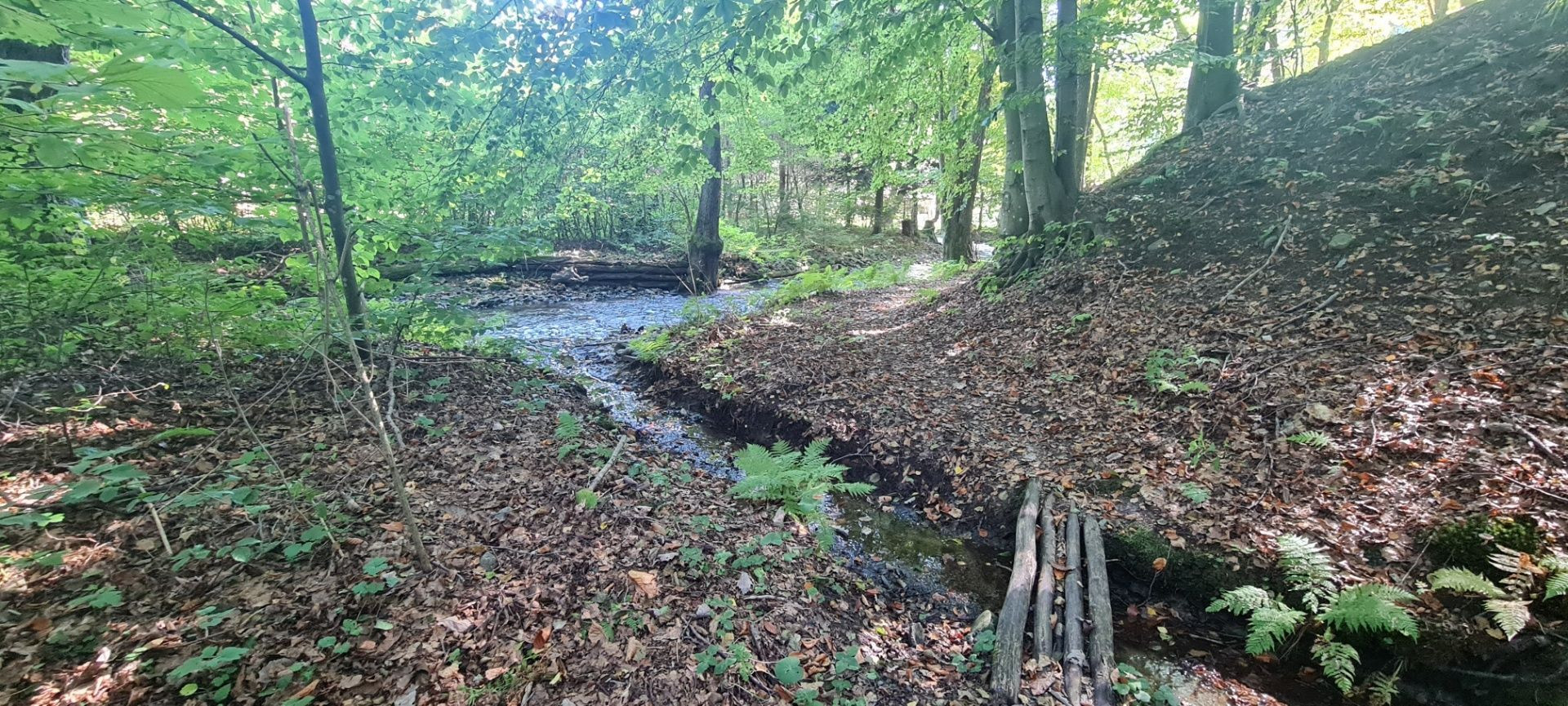 Lukratívny pozemok 5490m2 v lone prírody, predaj, Košice - okolie, Rudník