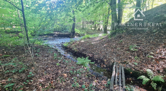 Lukratívny pozemok 5490m2 v lone prírody, predaj, Košice - okolie, Rudník