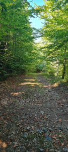 Lukratívny pozemok 5490m2 v lone prírody, predaj, Košice - okolie, Rudník