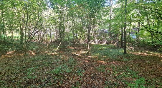 Lukratívny pozemok 5490m2 v lone prírody, predaj, Košice - okolie, Rudník