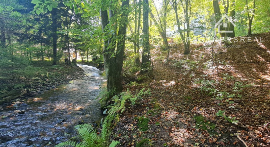 Lukratívny pozemok 5490m2 v lone prírody, predaj, Košice - okolie, Rudník