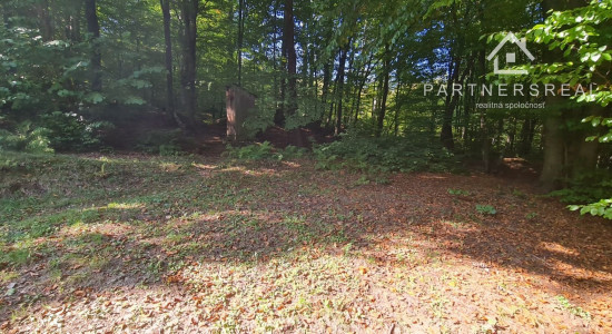 Lukratívny pozemok 5490m2 v lone prírody, predaj, Košice - okolie, Rudník