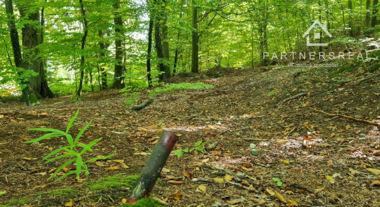 Lukratívny pozemok 5490m2 v lone prírody, predaj, Košice - okolie, Rudník