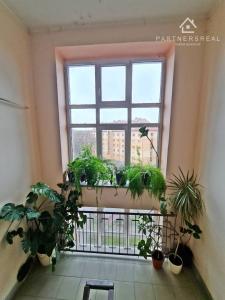 Luxusný, tehlový, 3 podlažný mezonet v Starom meste, predaj, Košice – Staré mesto, Trieda ČSA