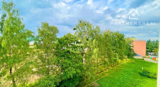 Väčší 4 - izb. byt (81 m2) / Sokolovská / Košice - sídlisko Terasa