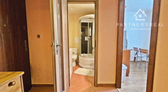 Tehlový 1 izbový byt v Starom meste, prenájom, Košice - Jesenná