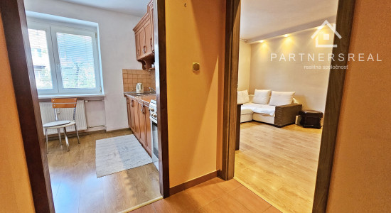 Tehlový 1 izbový byt v Starom meste, prenájom, Košice - Jesenná