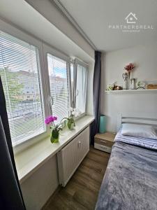 Tehlový, priestranný 2 izbový byt 66m2, predaj, Malá Praha, Zimná, Košice