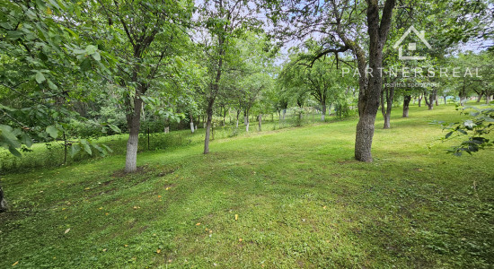 Rodinný dom s pozemkom 2396m2, predaj, Slanské Nové Mesto, Košice – okolie
