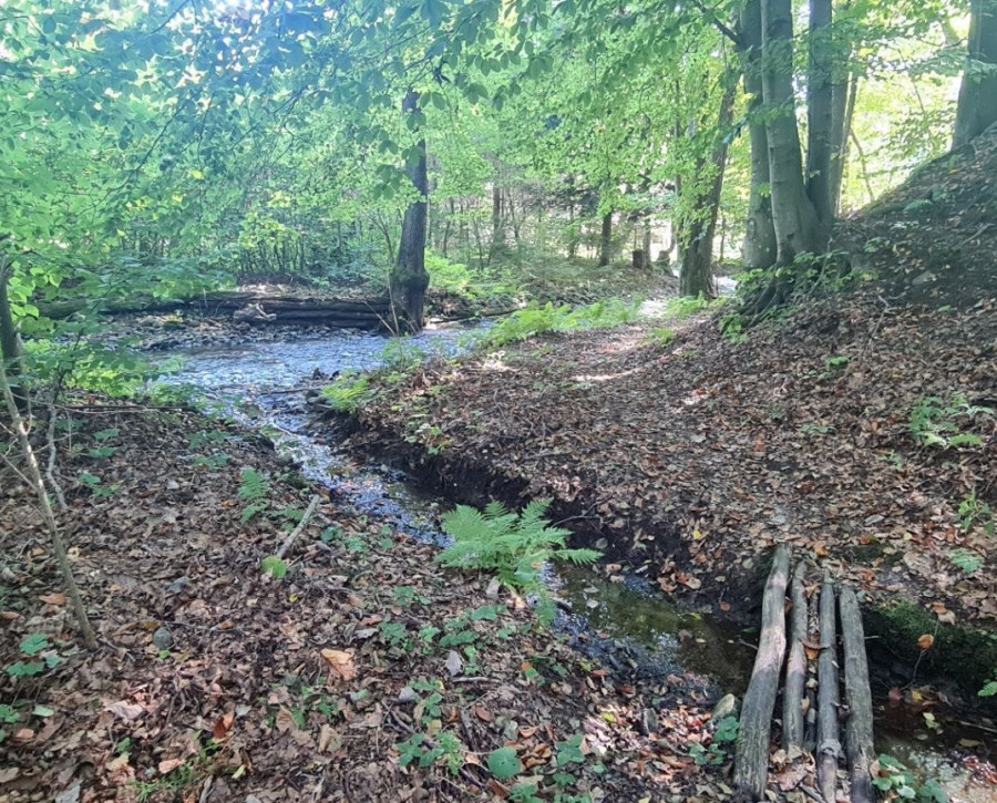 Lukratívny pozemok 5490m2 v lone prírody, predaj, Košice - okolie, Rudník